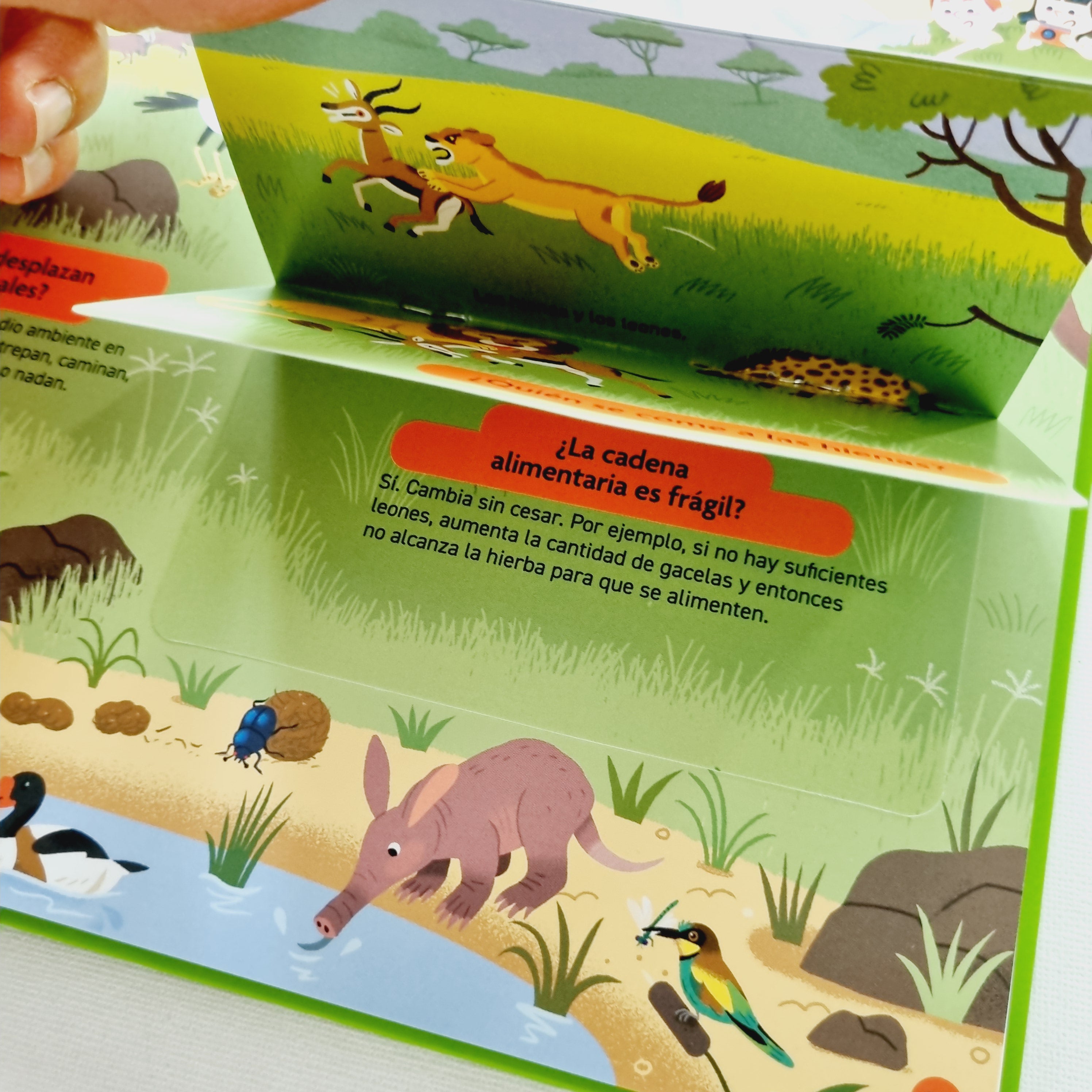 El libro de la naturaleza. Pequeños curiosos El libro de la naturaleza. Pequeños curiosos